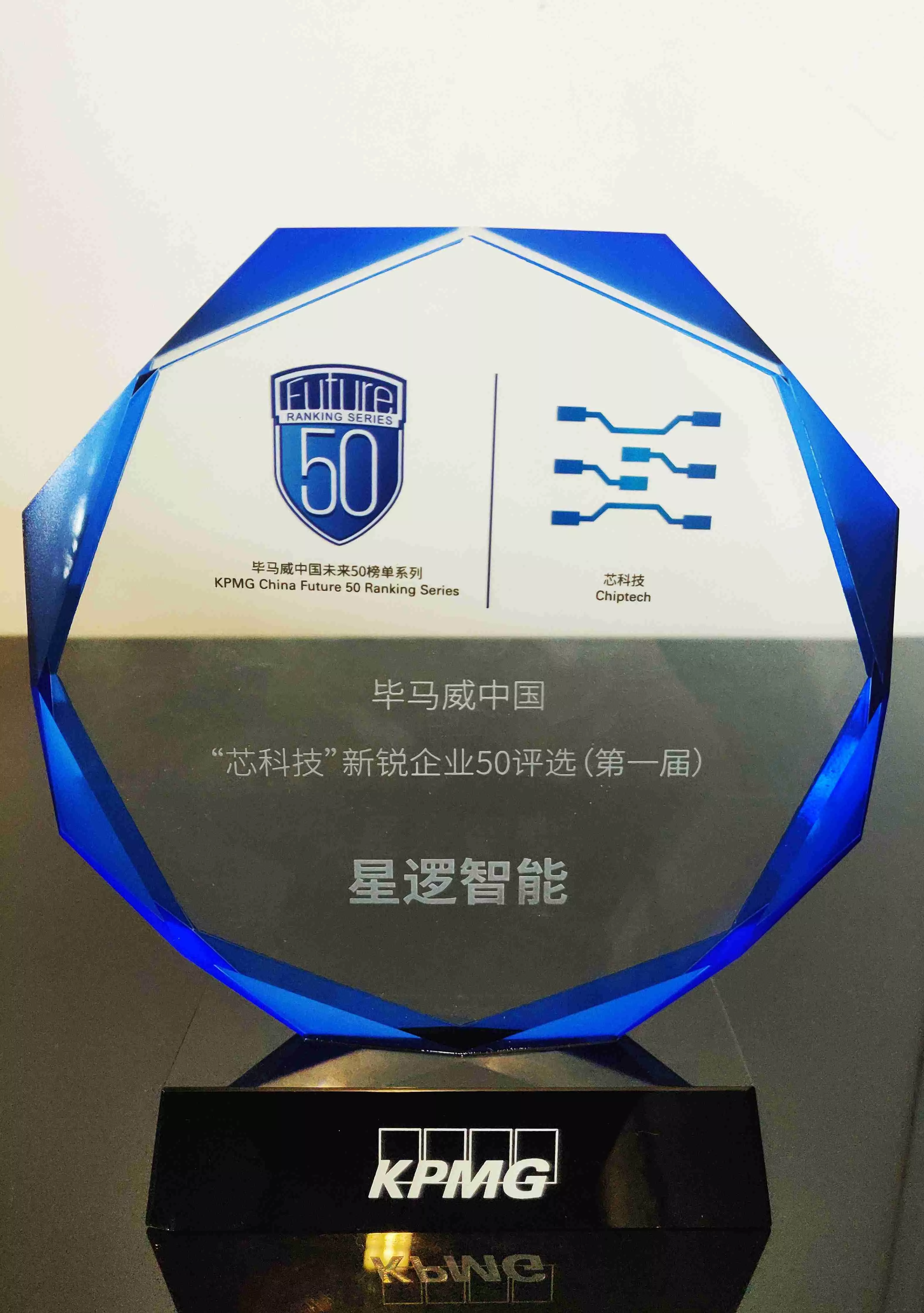 2023毕马威新锐企业50