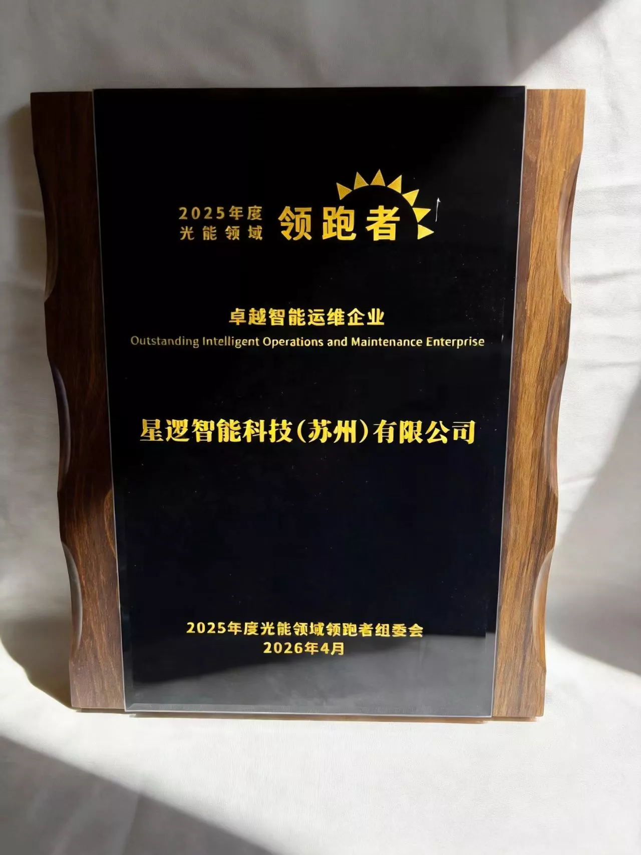 2025年度卓越智能运维企业