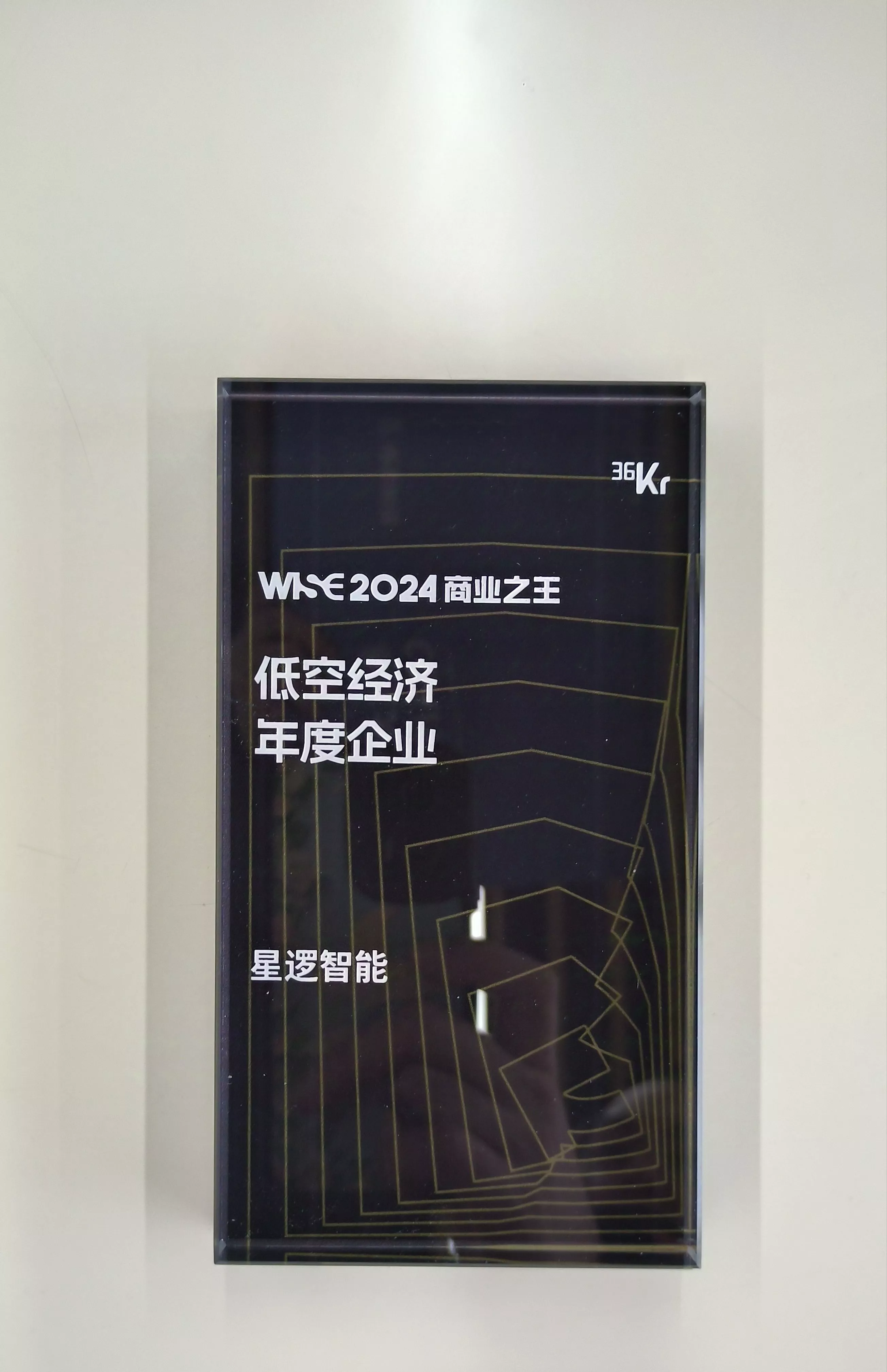 2024WISE商业之王低空经济年度企业