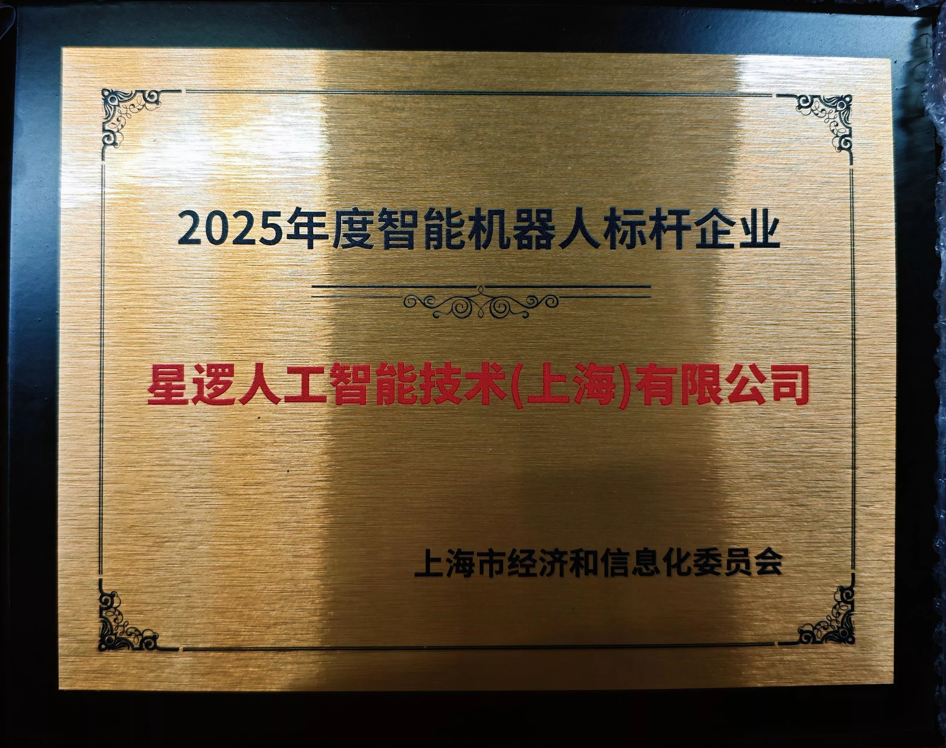 2025智能机器人标杆企业